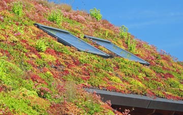 Rood End living roof systems